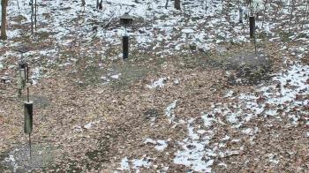 Weather camera view of Cincinnati Nature Center.