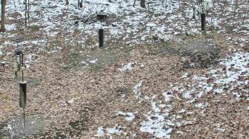 Weather camera view of Cincinnati Nature Center.