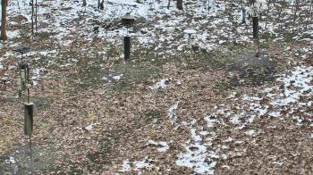 Weather camera view of Cincinnati Nature Center.