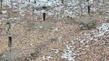 Weather camera view of Cincinnati Nature Center.