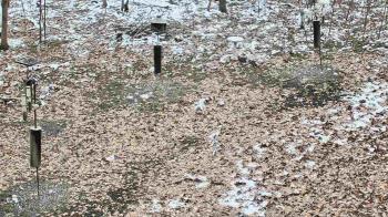 Weather camera view of Cincinnati Nature Center.