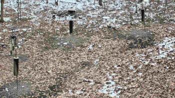 Weather camera view of Cincinnati Nature Center.