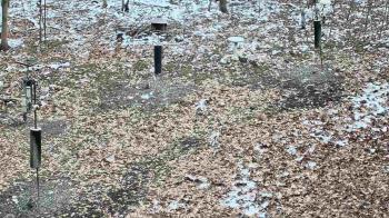 Weather camera view of Cincinnati Nature Center.