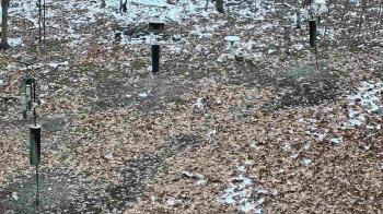 Weather camera view of Cincinnati Nature Center.