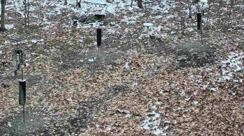 Weather camera view of Cincinnati Nature Center.