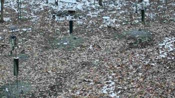 Weather camera view of Cincinnati Nature Center.