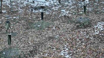 Weather camera view of Cincinnati Nature Center.