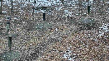 Weather camera view of Cincinnati Nature Center.
