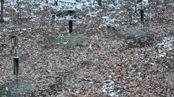 Weather camera view of Cincinnati Nature Center.