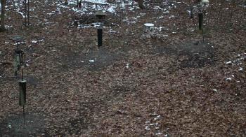 Weather camera view of Cincinnati Nature Center.