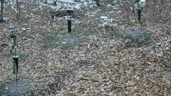Weather camera view of Cincinnati Nature Center.