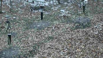 Weather camera view of Cincinnati Nature Center.
