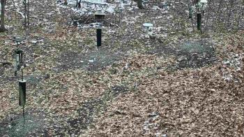 Weather camera view of Cincinnati Nature Center.