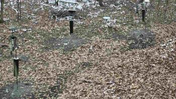 Weather camera view of Cincinnati Nature Center.