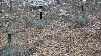 Weather camera view of Cincinnati Nature Center.