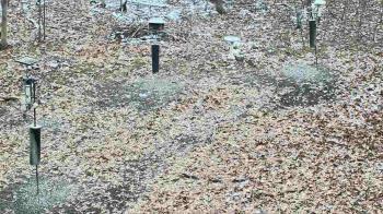 Weather camera view of Cincinnati Nature Center.