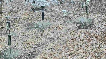 Weather camera view of Cincinnati Nature Center.