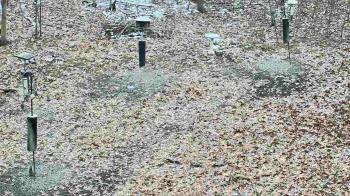 Weather camera view of Cincinnati Nature Center.