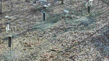Weather camera view of Cincinnati Nature Center.