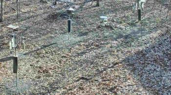 Weather camera view of Cincinnati Nature Center.