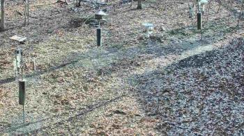 Weather camera view of Cincinnati Nature Center.