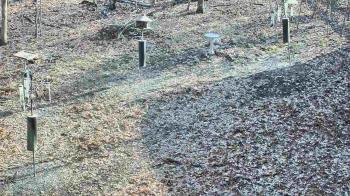 Weather camera view of Cincinnati Nature Center.
