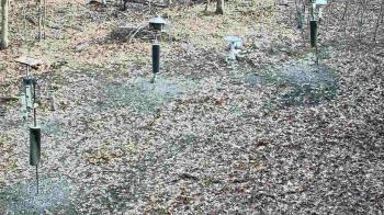 Weather camera view of Cincinnati Nature Center.