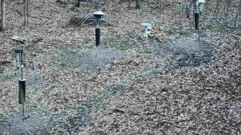 Weather camera view of Cincinnati Nature Center.