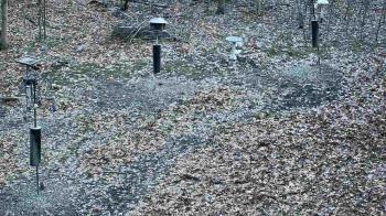 Weather camera view of Cincinnati Nature Center.
