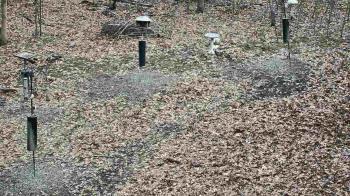 Weather camera view of Cincinnati Nature Center.