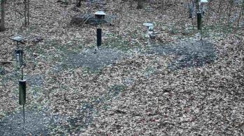 Weather camera view of Cincinnati Nature Center.