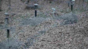 Weather camera view of Cincinnati Nature Center.
