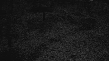 Weather camera view of Cincinnati Nature Center.