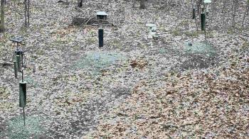 Weather camera view of Cincinnati Nature Center.