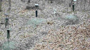 Weather camera view of Cincinnati Nature Center.