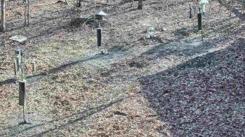 Weather camera view of Cincinnati Nature Center.