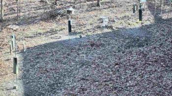 Weather camera view of Cincinnati Nature Center.