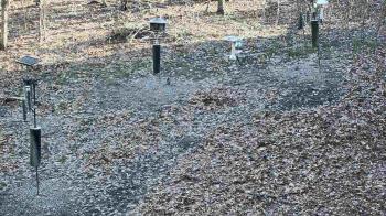 Weather camera view of Cincinnati Nature Center.