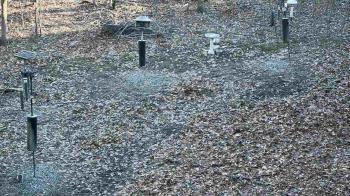 Weather camera view of Cincinnati Nature Center.