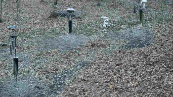 Weather camera view of Cincinnati Nature Center.