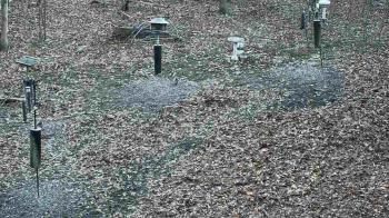 Weather camera view of Cincinnati Nature Center.