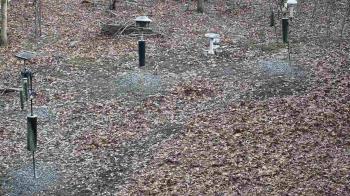 Weather camera view of Cincinnati Nature Center.