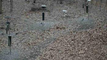 Weather camera view of Cincinnati Nature Center.