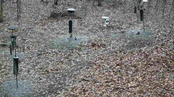 Weather camera view of Cincinnati Nature Center.