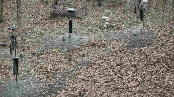 Weather camera view of Cincinnati Nature Center.