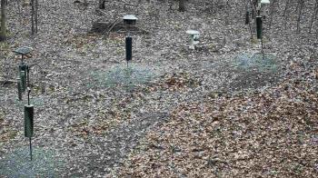 Weather camera view of Cincinnati Nature Center.