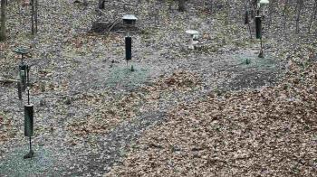 Weather camera view of Cincinnati Nature Center.