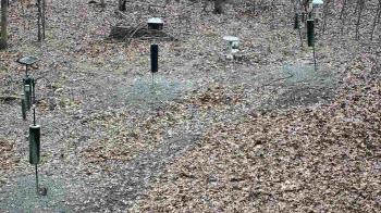 Weather camera view of Cincinnati Nature Center.