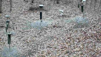 Weather camera view of Cincinnati Nature Center.