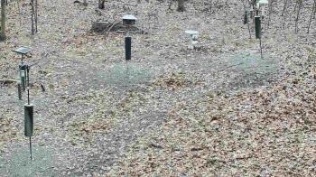 Weather camera view of Cincinnati Nature Center.